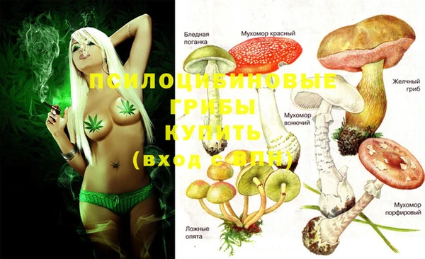 амф Михайлов