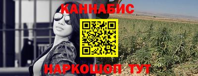 эйфоретик Кингисепп