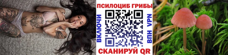 дарк нет формула Саров Галлюциногенные грибы Psilocybine cubensis