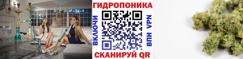 дарнет шоп  Саров  Марихуана план 